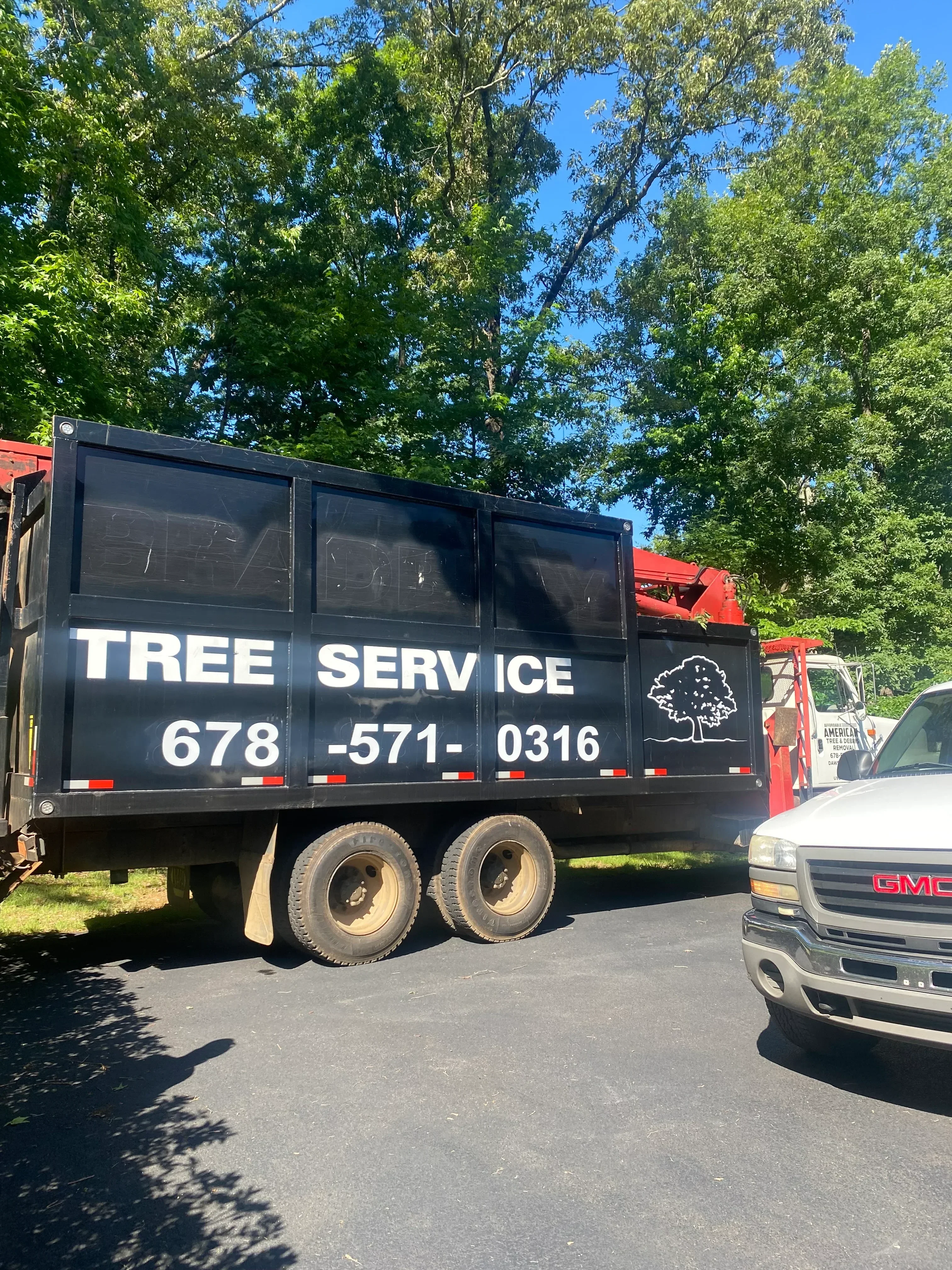 Commercial dump truck loaded with tree debris and branches from removal project