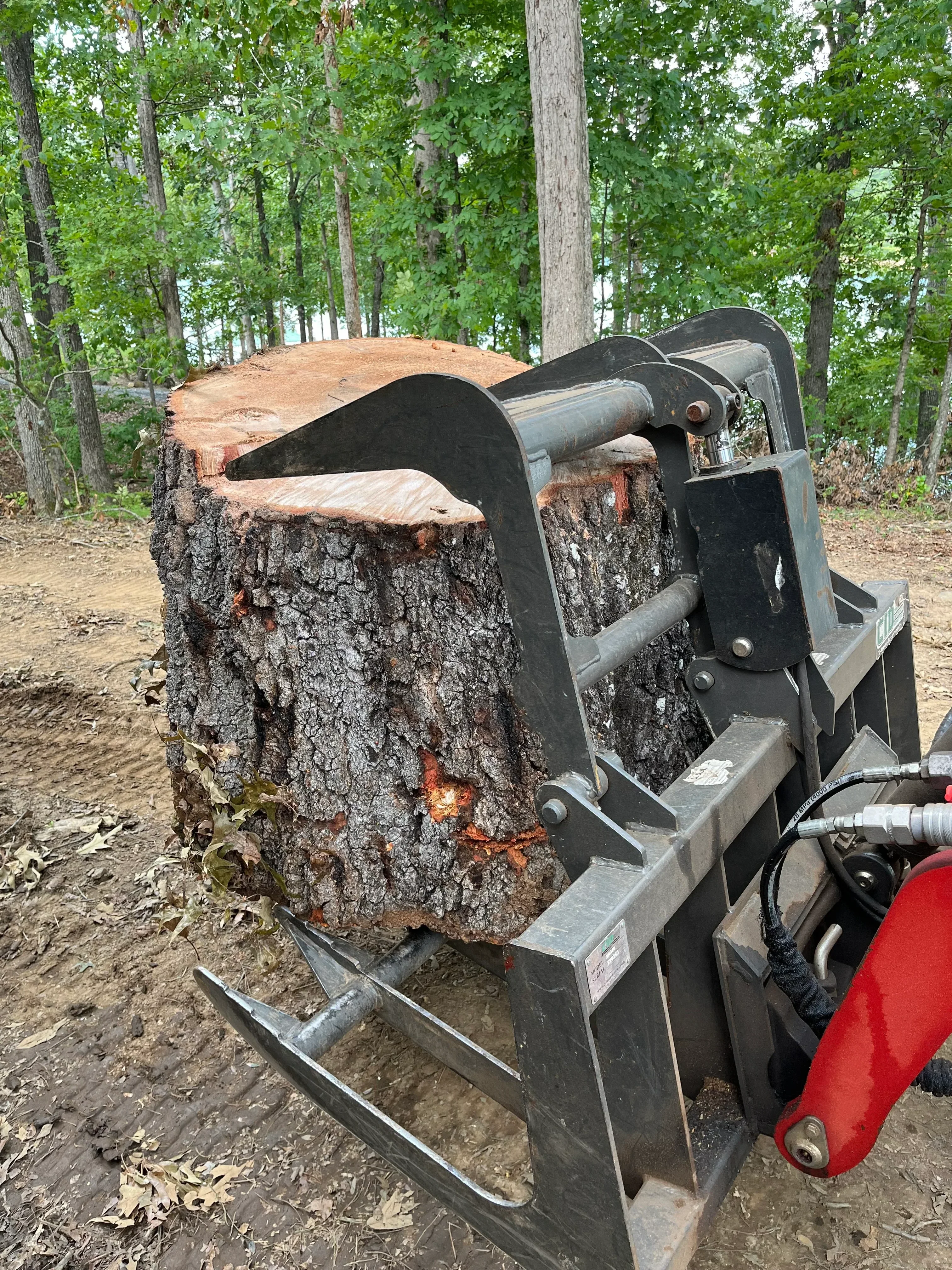 Stump grinder with steel collection bin filled with wood chips from grinding operation