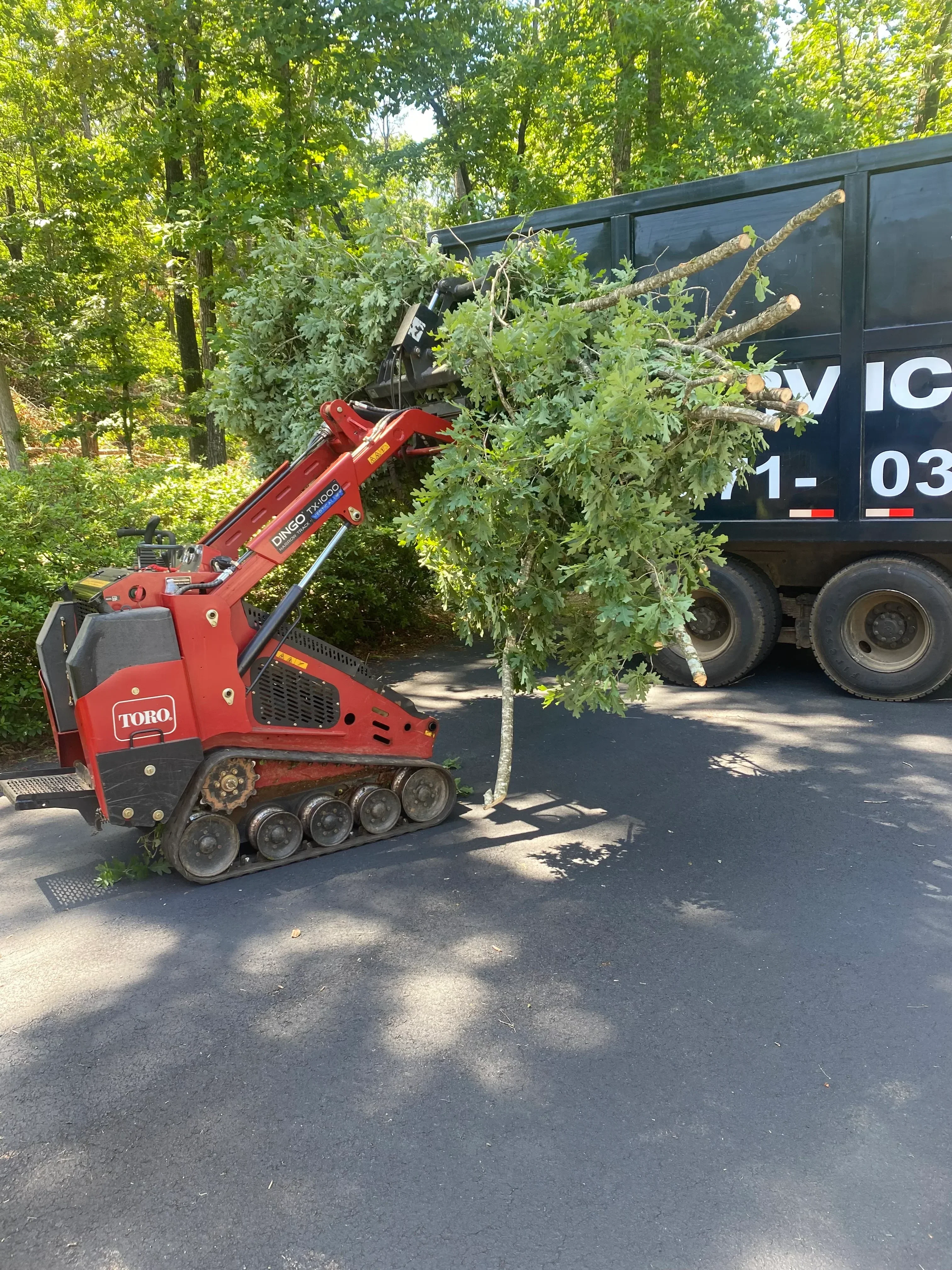 Red wood chipper processing large tree limbs and trunk material on asphalt surface
