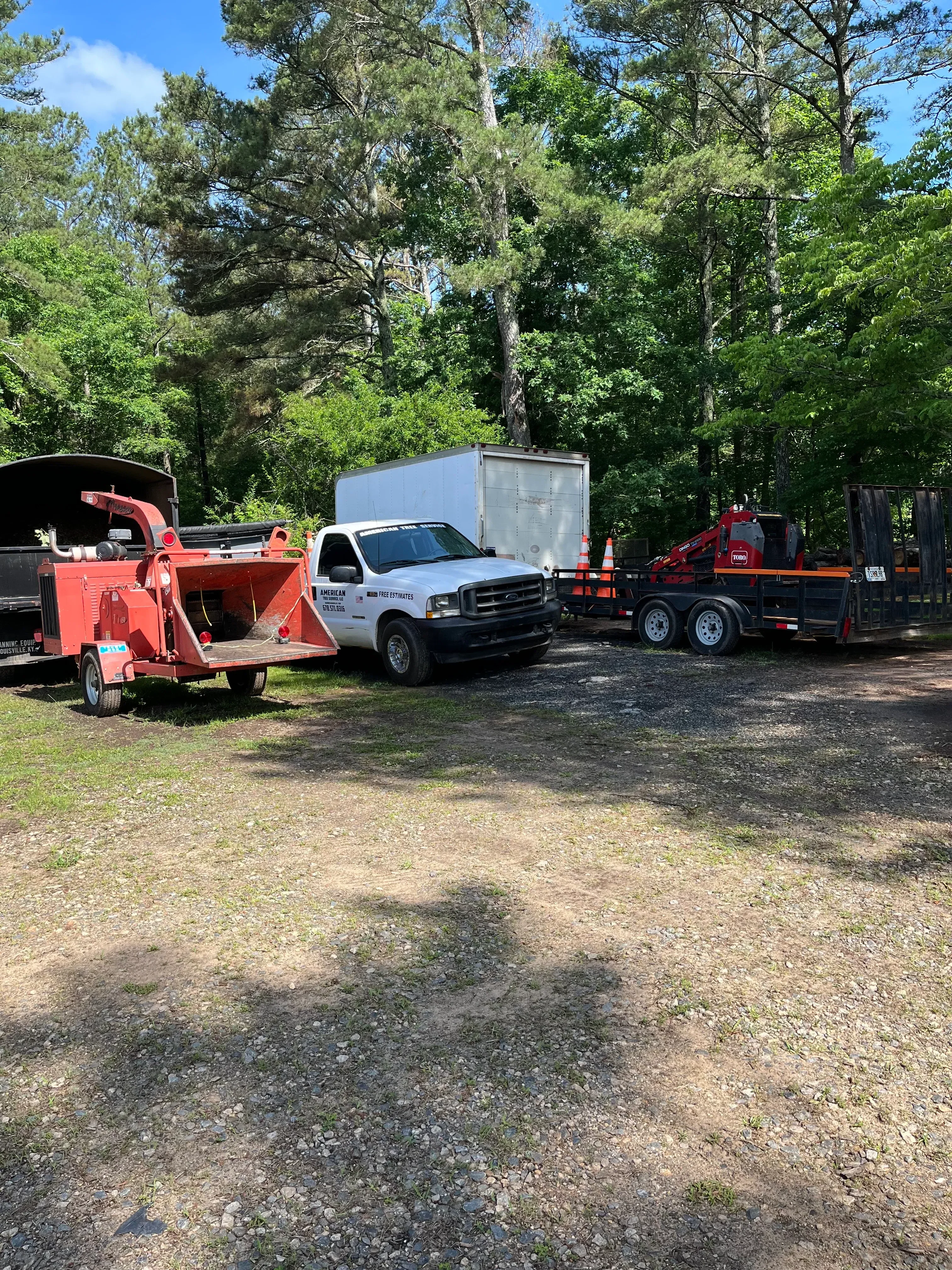 Red bucket truck and chipper equipment removing large trees with debris hauling truck