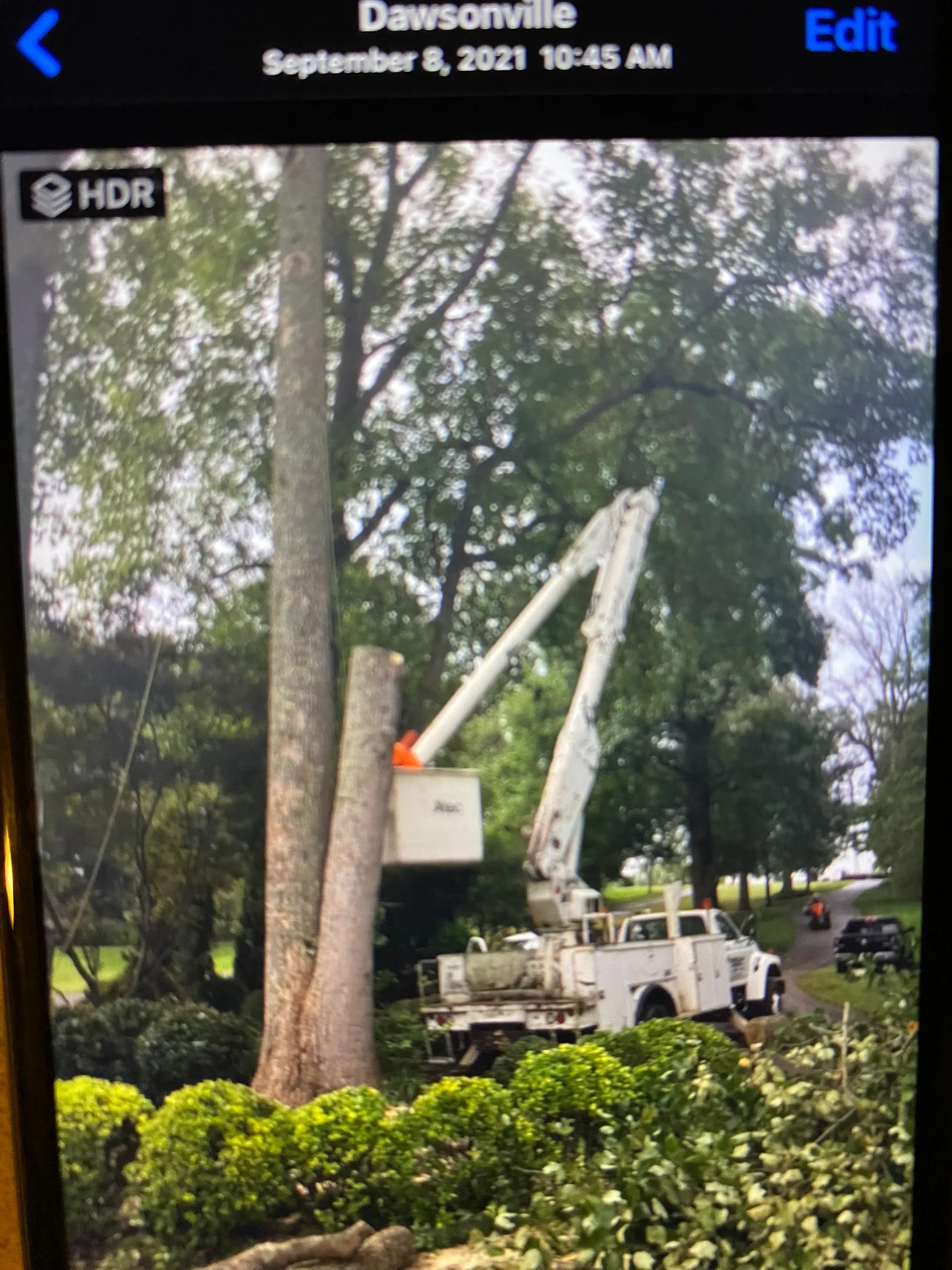 Large tree trunk removal near residential property with equipment and crew